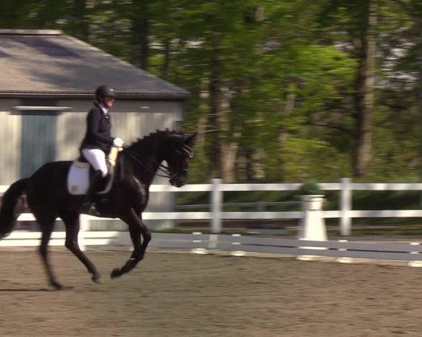 Reitturnier Mildstedt 2022