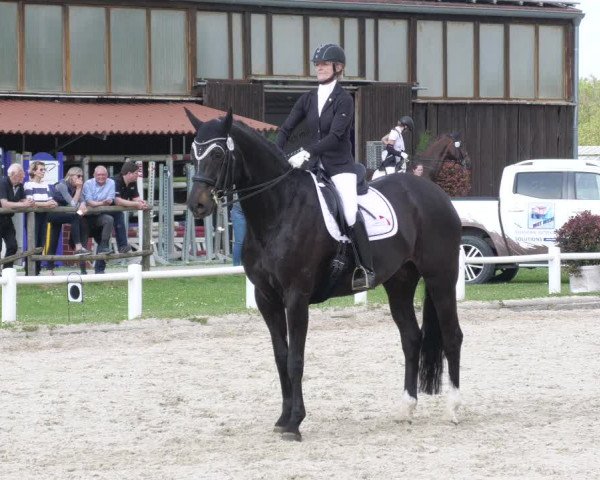 Reitturnier Bietigheim-Bissingen 2022