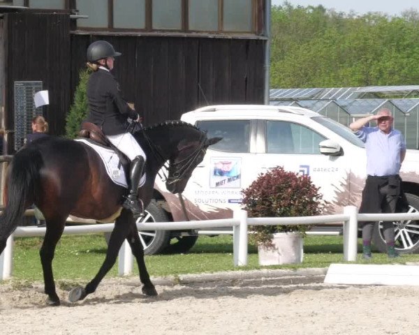 Reitturnier Bietigheim-Bissingen 2022
