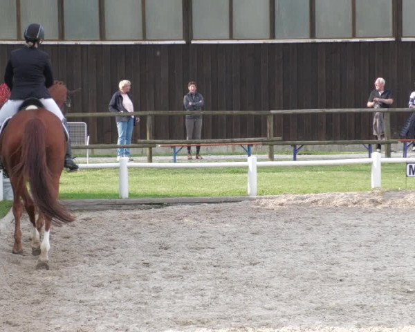 Reitturnier Bietigheim-Bissingen 2022