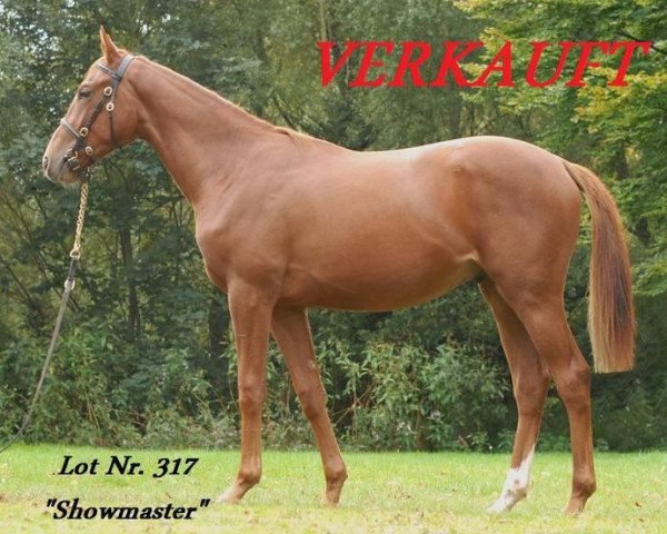 horse Showmaster xx (Thoroughbred, 2011, from Liquido xx)