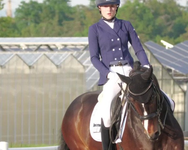 Reitturnier Bietigheim-Bissingen 2022