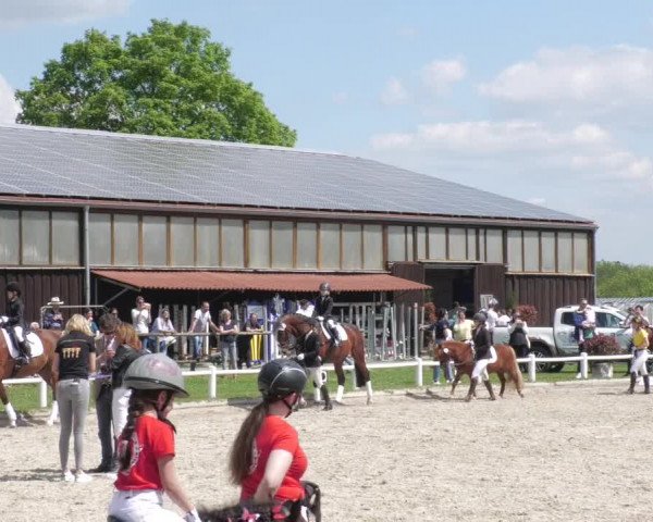 Reitturnier Bietigheim-Bissingen 2022