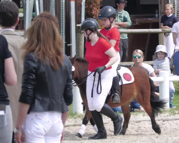 Reitturnier Bietigheim-Bissingen 2022