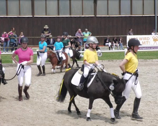 Reitturnier Bietigheim-Bissingen 2022