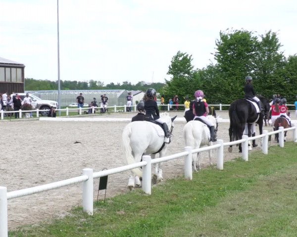 Reitturnier Bietigheim-Bissingen 2022