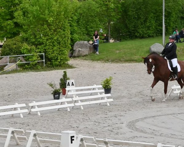 Reitturnier Pietzpuhl 2022