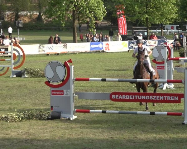 Reitturnier Meppen 2022