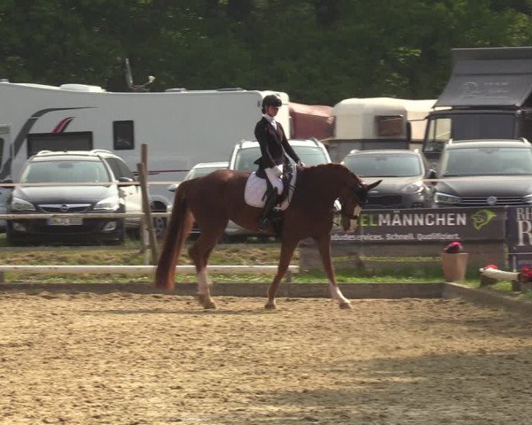Reitturnier Dinslaken-Hiesfeld 2022