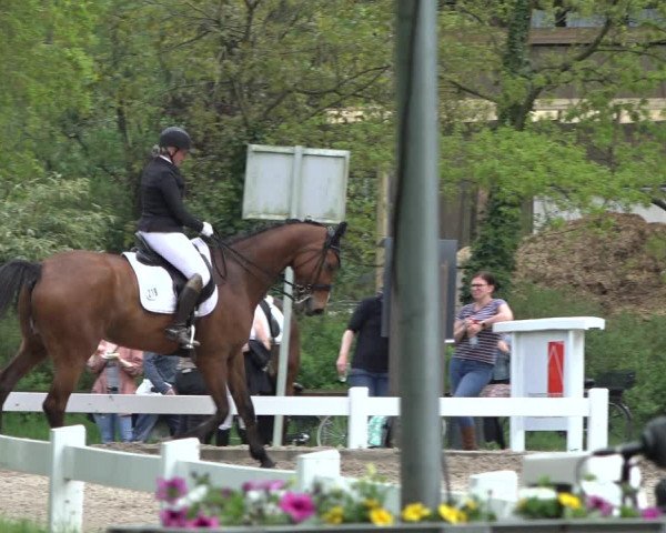 Reitturnier Meppen 2022