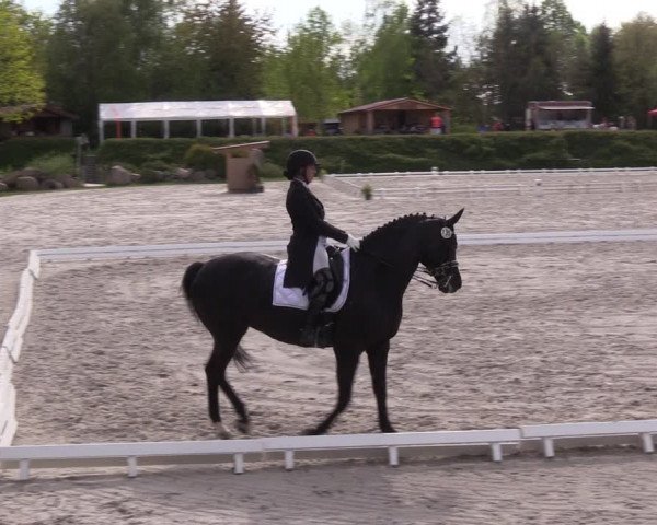 Reitturnier Pietzpuhl 2022