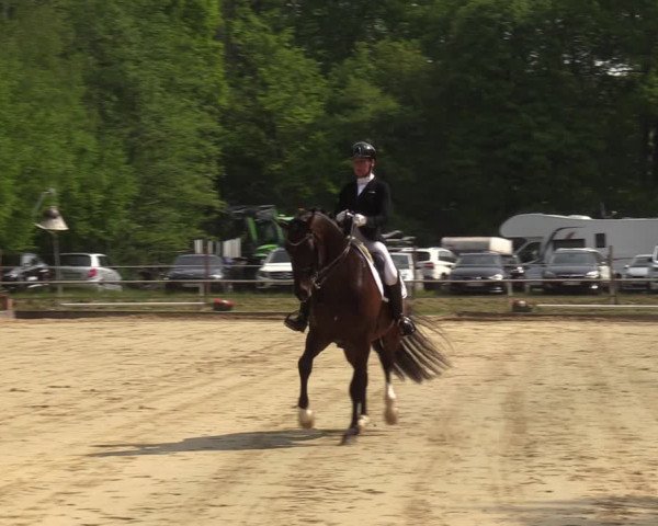 Reitturnier Dinslaken-Hiesfeld 2022