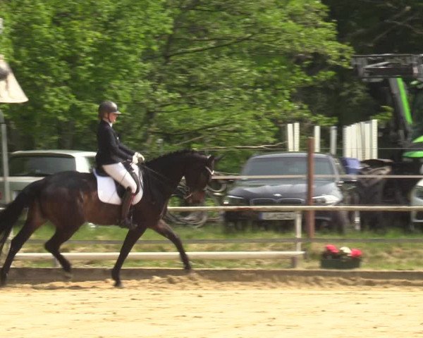 Reitturnier Dinslaken-Hiesfeld 2022