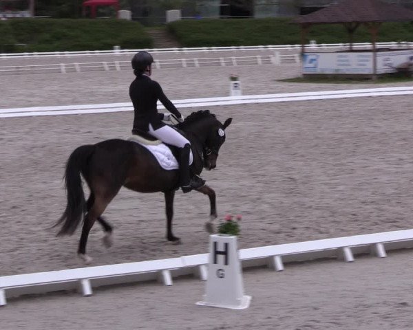 Reitturnier Pietzpuhl 2022
