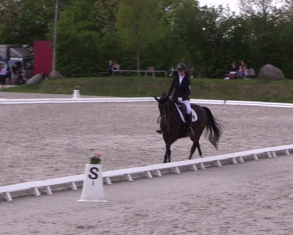 Reitturnier Pietzpuhl 2022