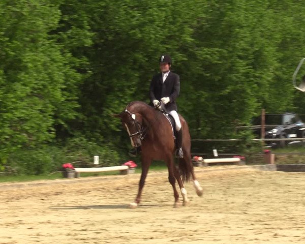Reitturnier Dinslaken-Hiesfeld 2022