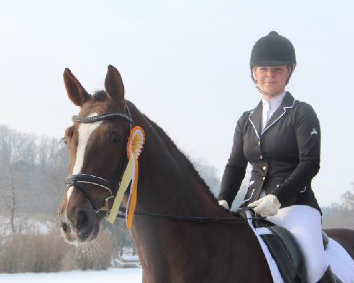 broodmare Delia 114 (Württemberger, 2008, from Don Schufro)