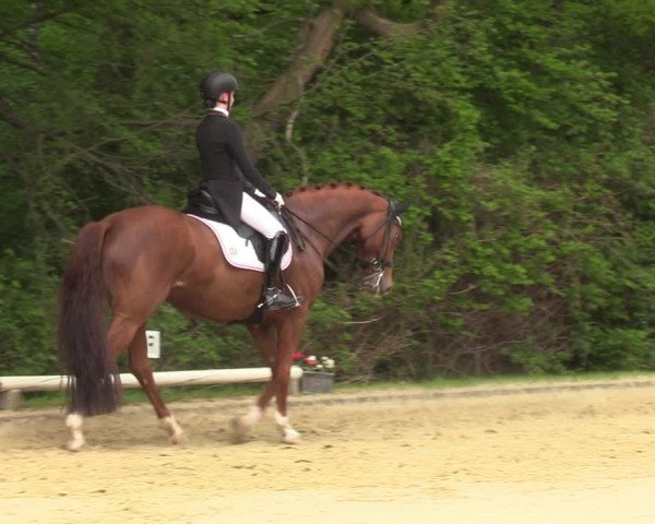 Reitturnier Dinslaken-Hiesfeld 2022