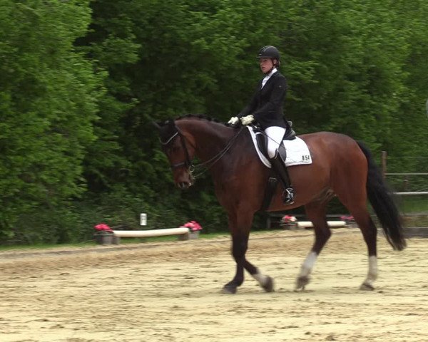 Reitturnier Dinslaken-Hiesfeld 2022