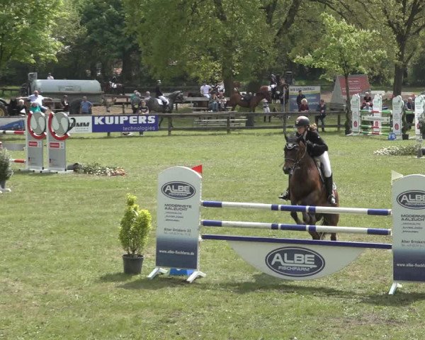 Reitturnier Meppen 2022