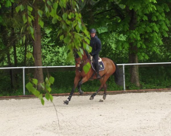Reitturnier Karlsfeld 2022