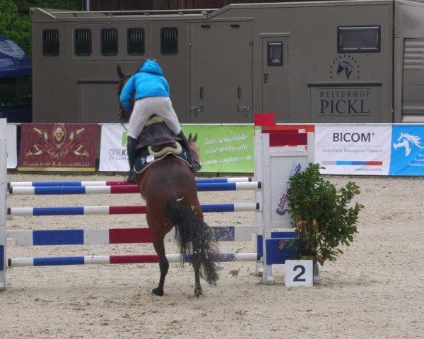 Reitturnier Karlsfeld 2022