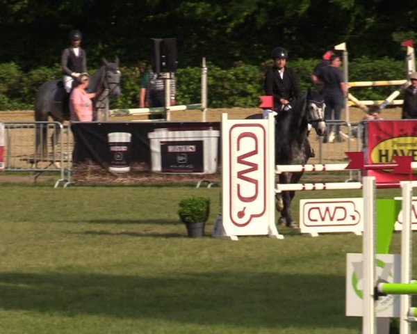 Reitturnier Jülich 2022