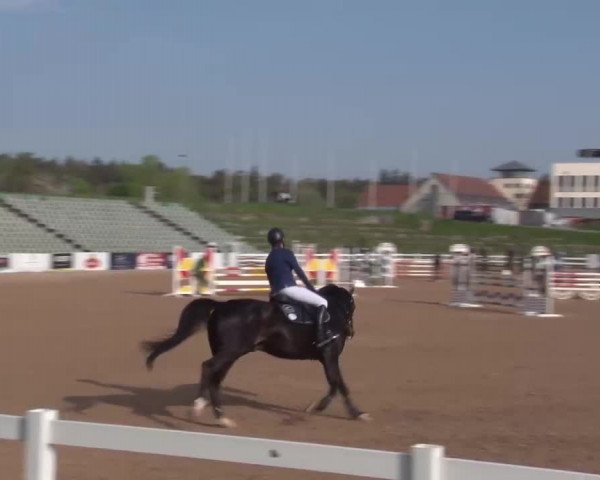 Reitturnier Kreuth/Opf. 2022