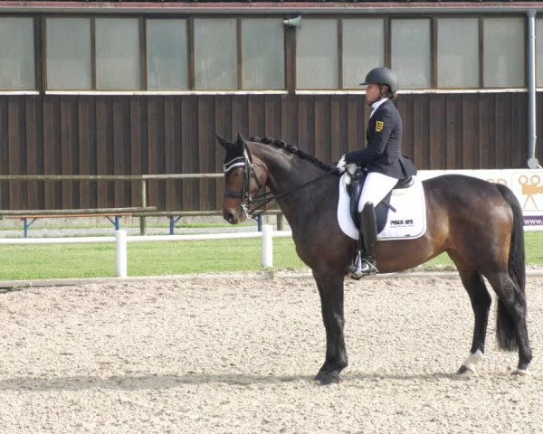 Reitturnier Bietigheim-Bissingen 2022