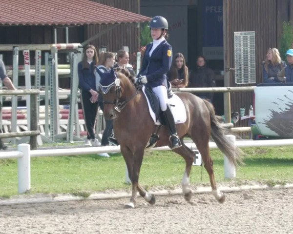 Reitturnier Bietigheim-Bissingen 2022