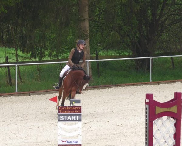 Reitturnier Karlsfeld 2022