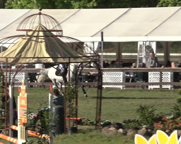 Reitturnier Meppen 2022