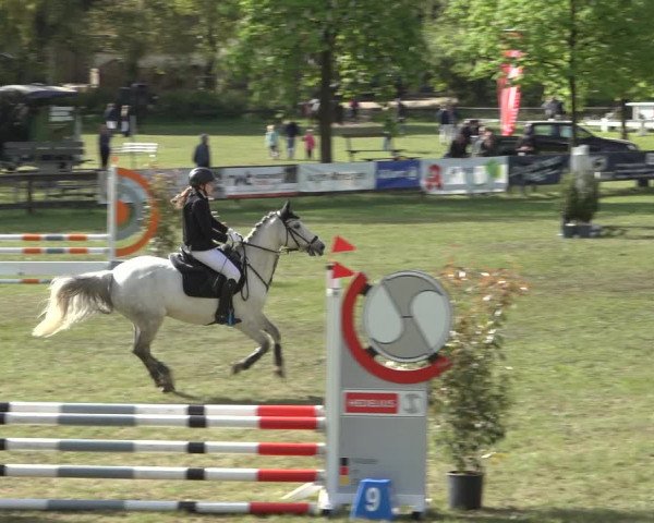 Reitturnier Meppen 2022