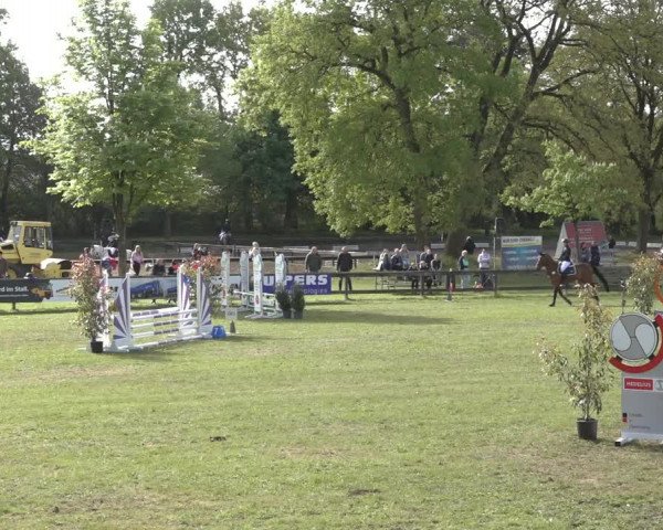 Reitturnier Meppen 2022