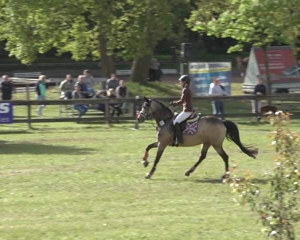 Reitturnier Meppen 2022