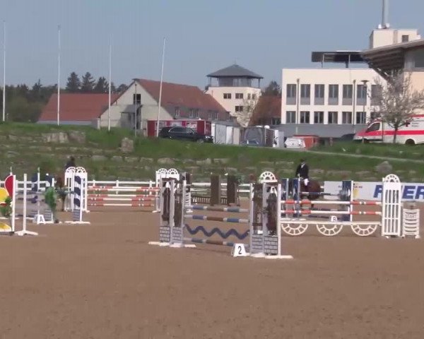 Reitturnier Kreuth/Opf. 2022