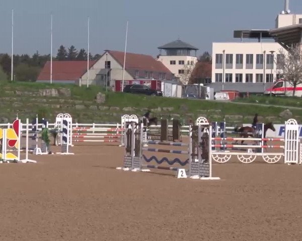 Reitturnier Kreuth/Opf. 2022
