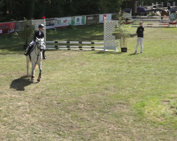 Reitturnier Meppen 2022