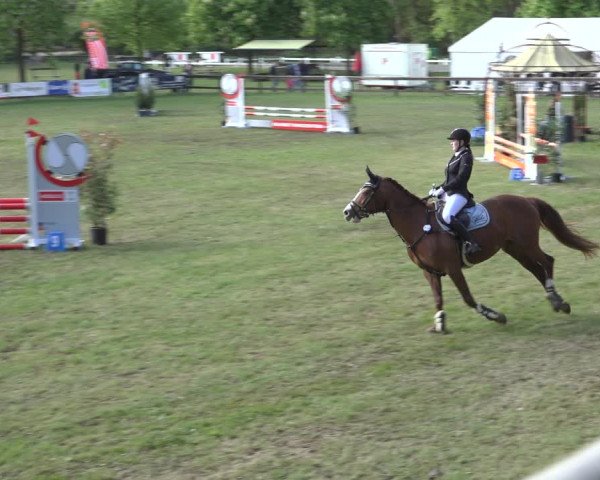 Reitturnier Meppen 2022