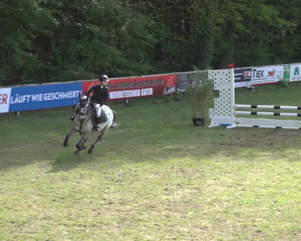 Reitturnier Meppen 2022
