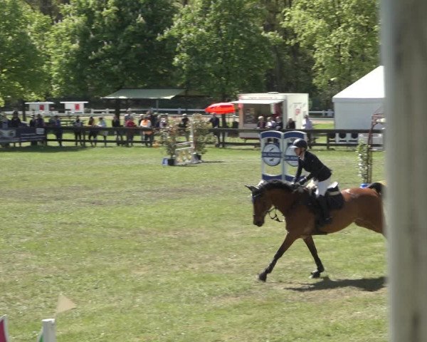 Reitturnier Meppen 2022