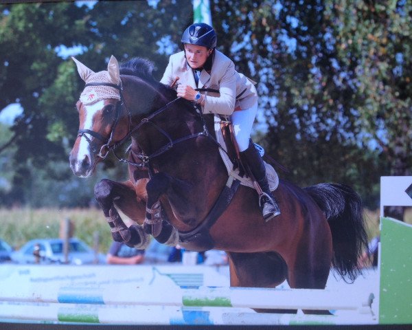 jumper Corona M (Württemberger, 2003, from Cornet Obolensky)