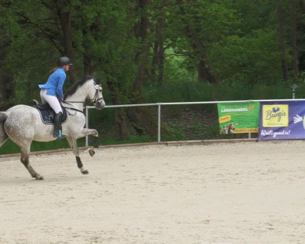Reitturnier Karlsfeld 2022