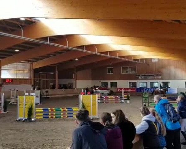 Reitturnier Schwendi 2021