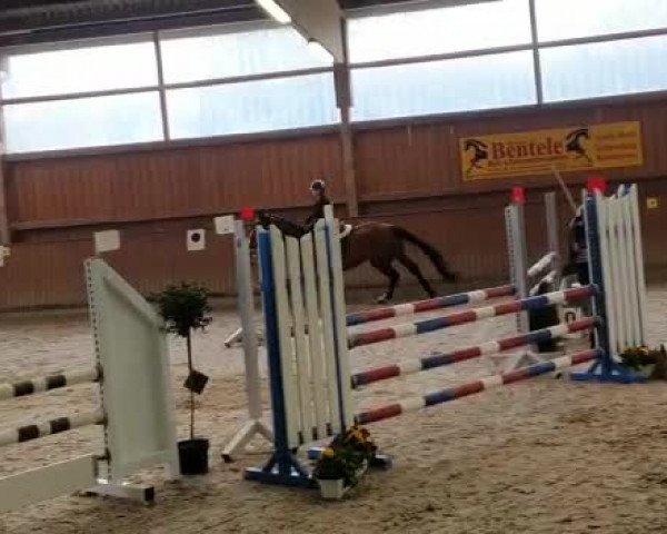 Reitturnier Fronhofen 2022