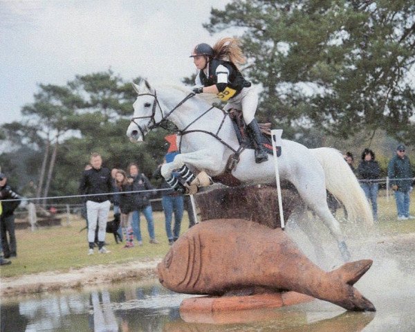 Zuchtstute Malika Vergoignan AA (Anglo-Araber, 2000, von Quatar de Plape AA)