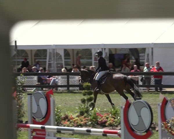 Reitturnier Meppen 2022