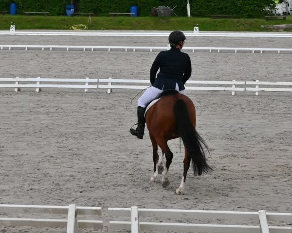 Reitturnier Pietzpuhl 2022