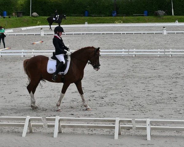 Reitturnier Pietzpuhl 2022