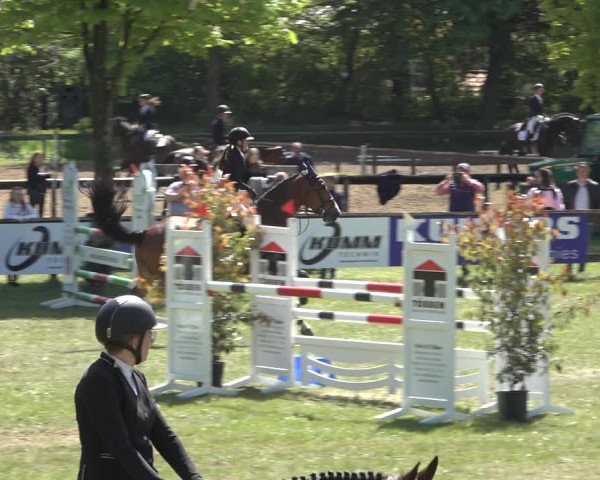 Reitturnier Meppen 2022